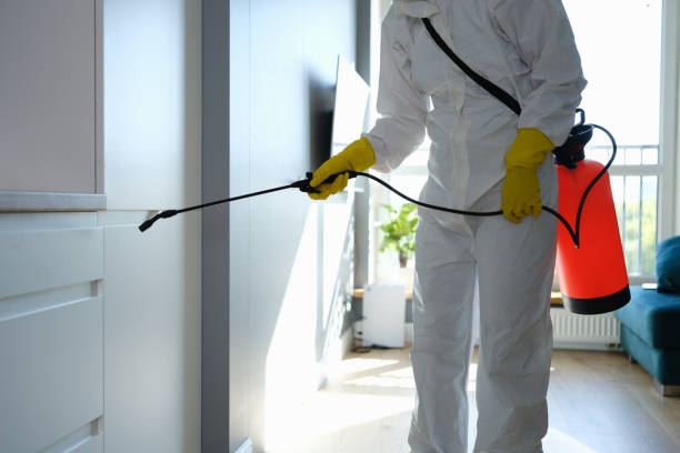 Best Certified Mold Removal  in Whitewater, WI